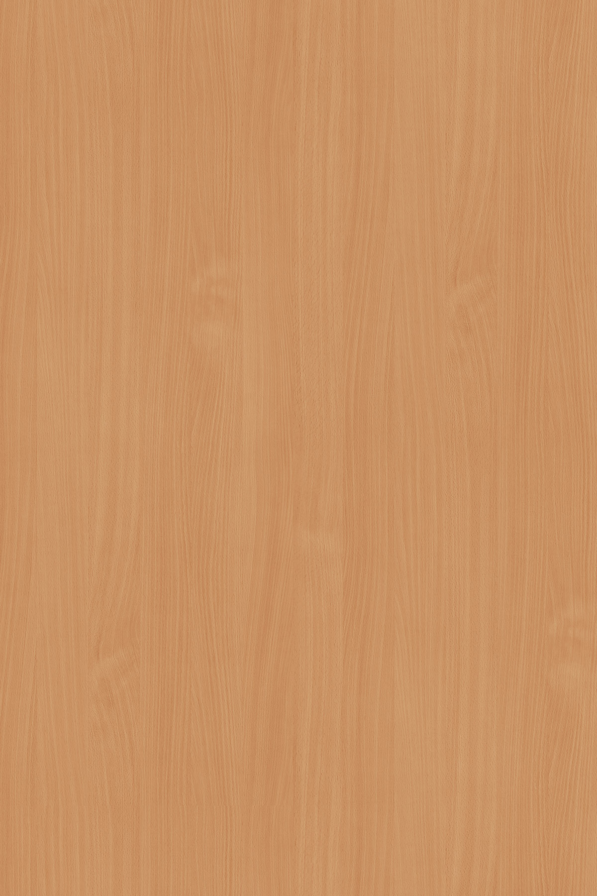 0381 BS Бук классический